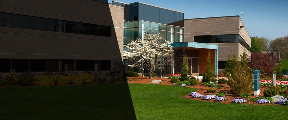 Kew Gardens Landscapers