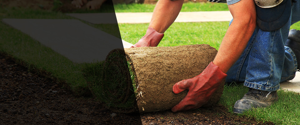 Kew Gardens Landscapers